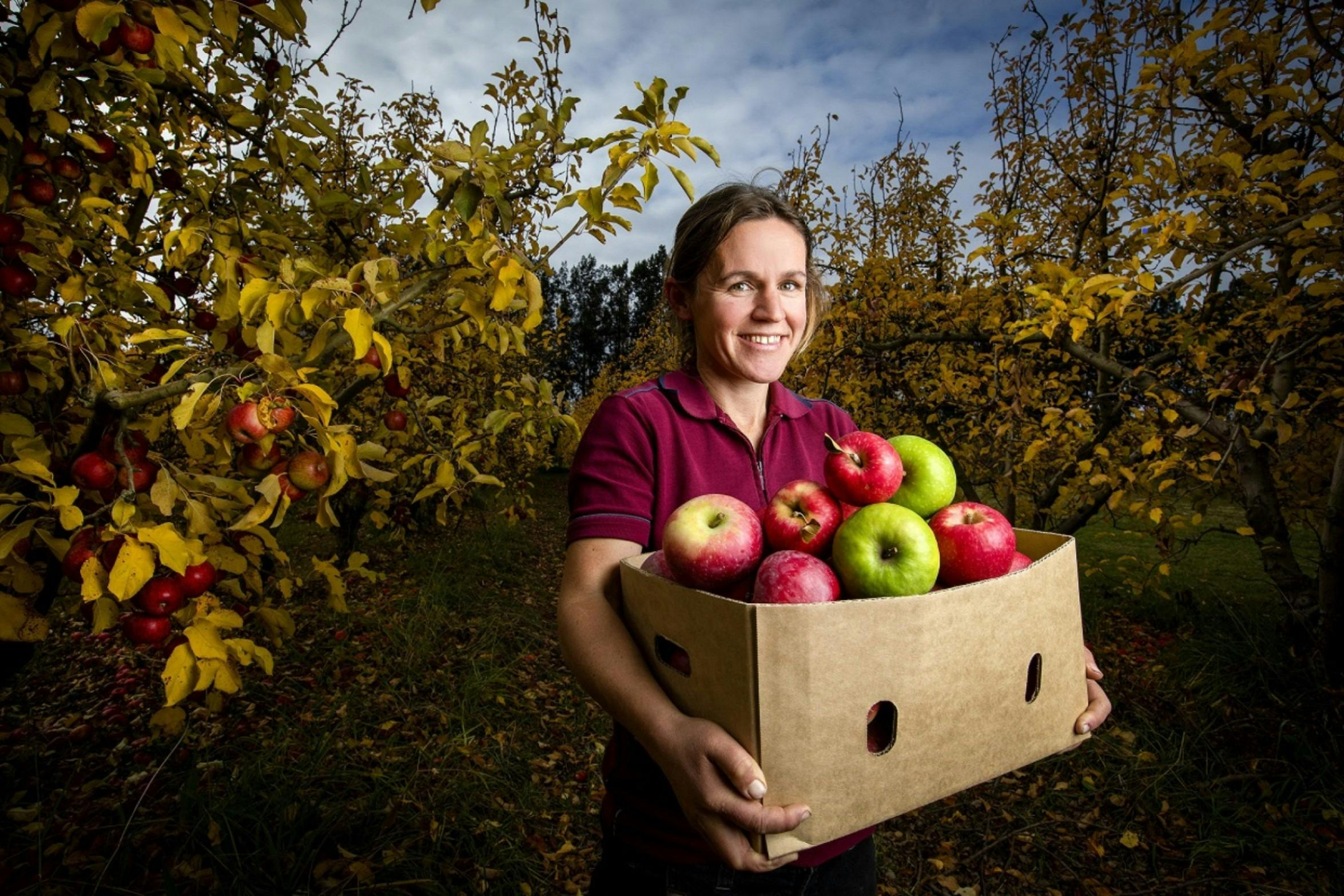 Sally Baldwin with a few of our apple varieties