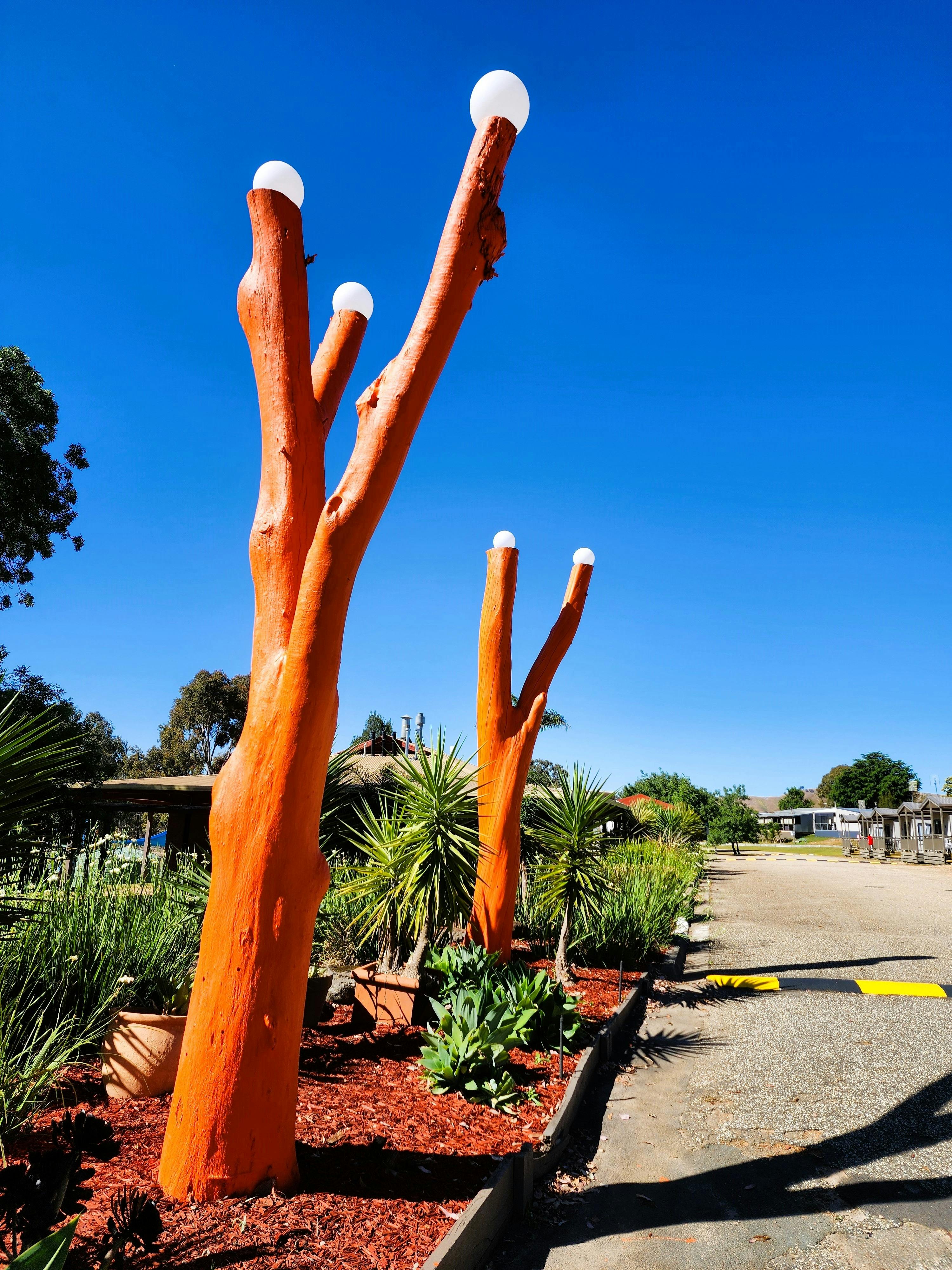 Feature Trees at Main Office