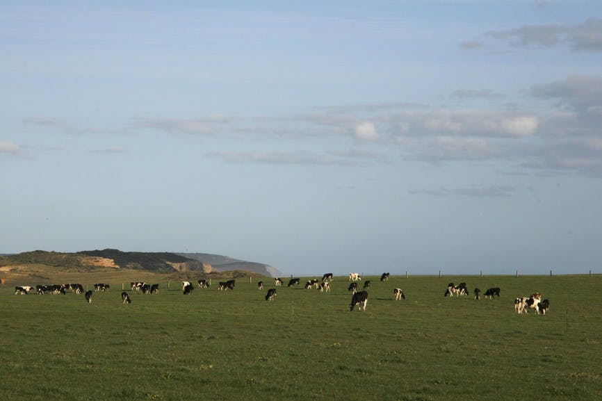 Port Campbell