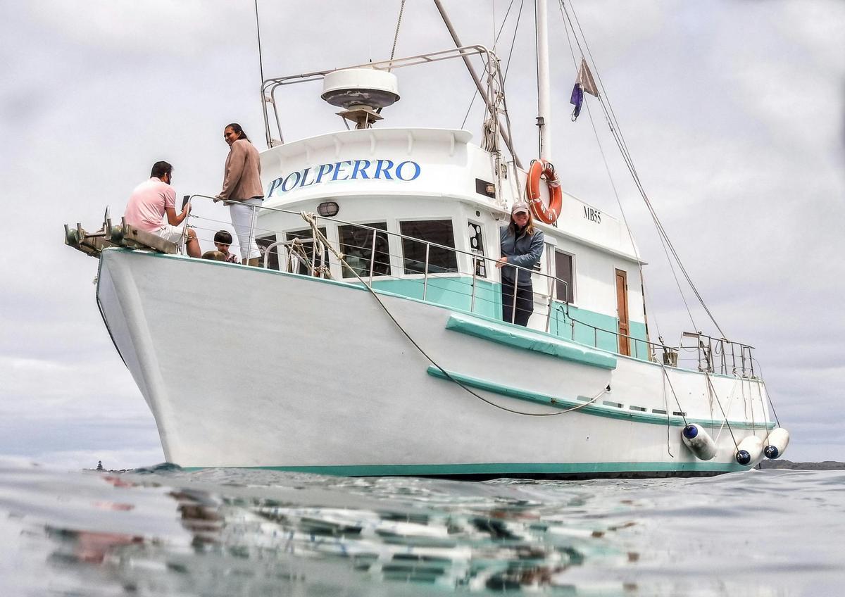 Our classic huon pine tour vessel Polperro