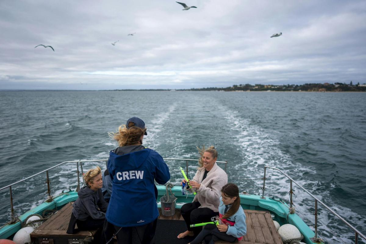 family trip on Polperro