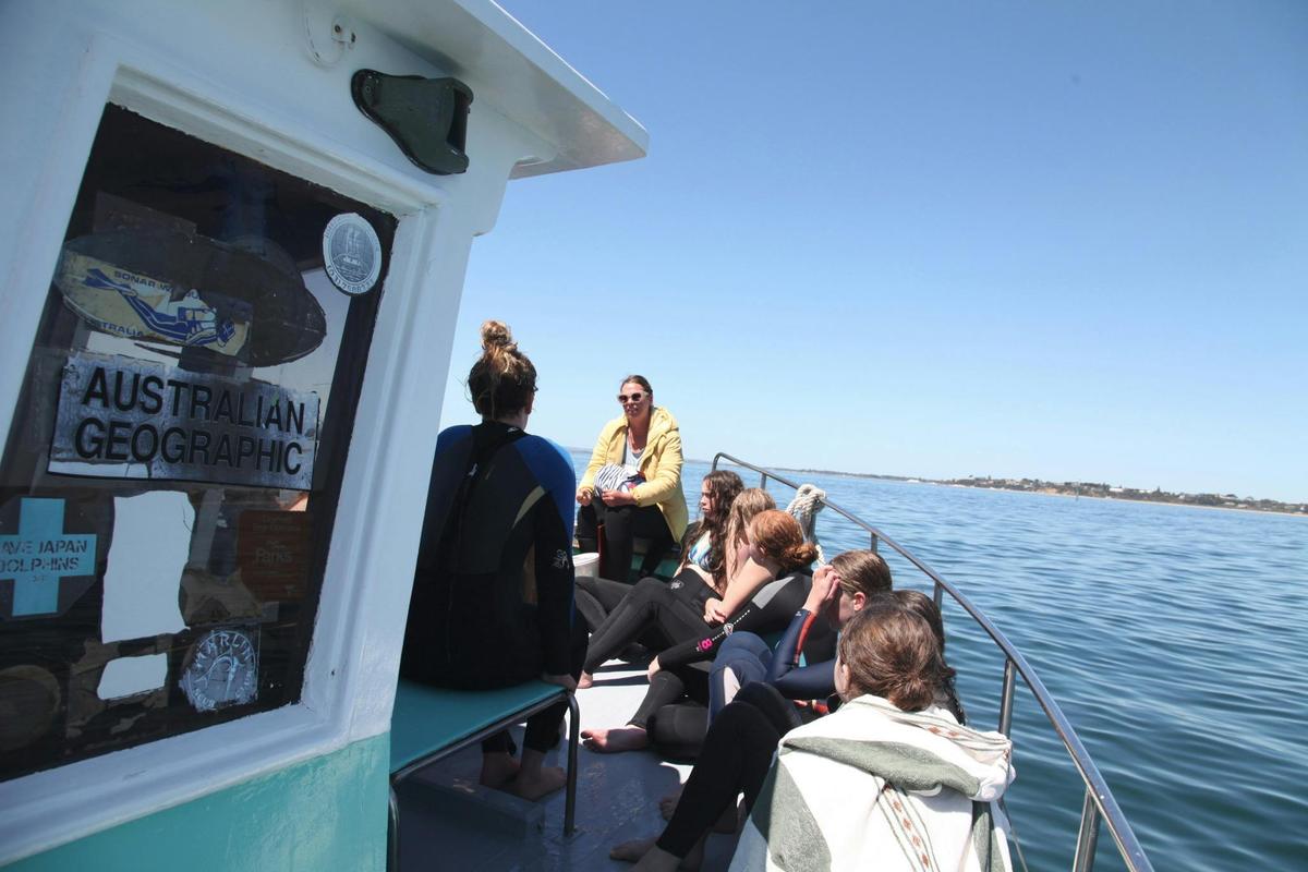 conservation through education