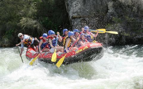 Sharks tooth rapid