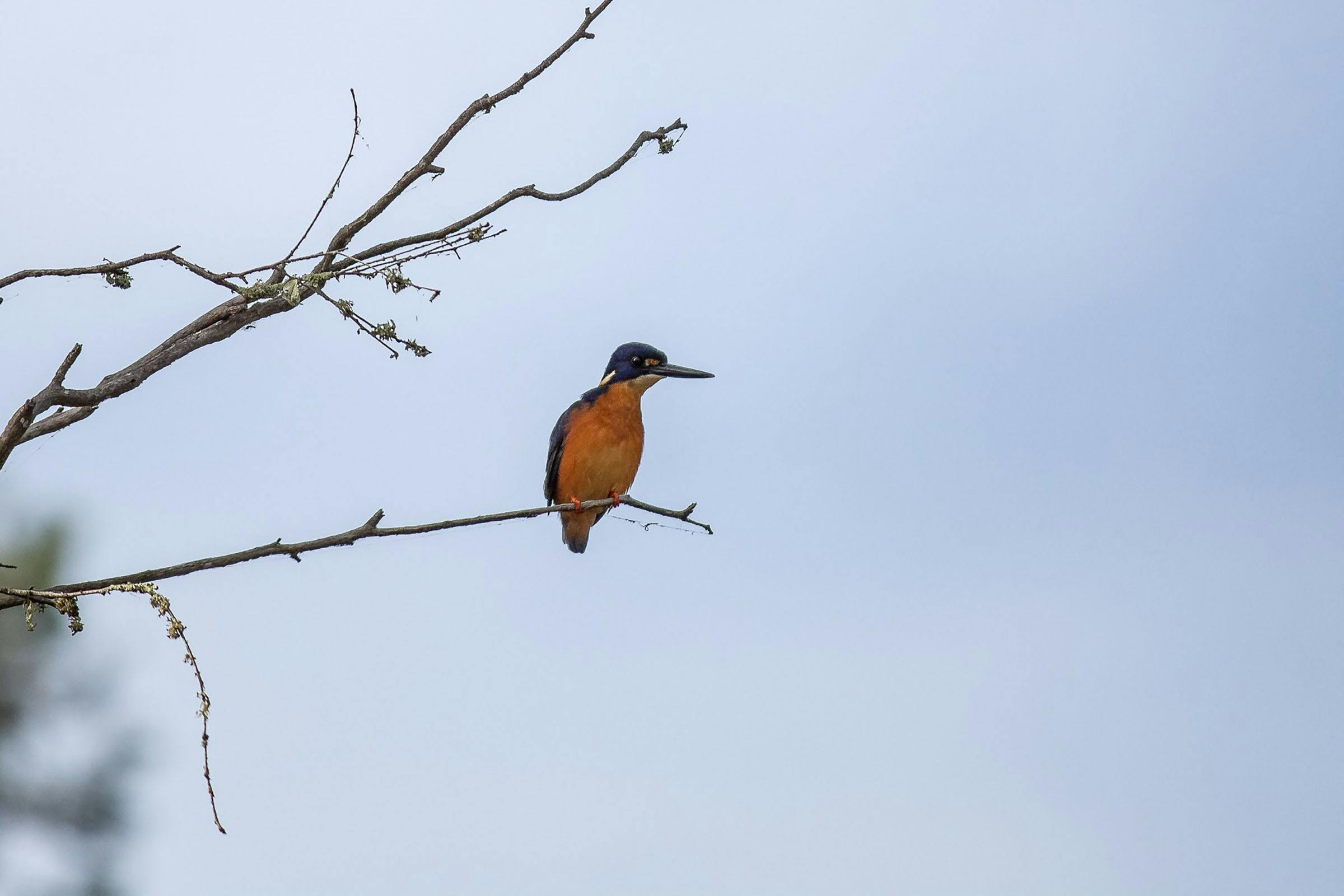 Port of Sale Heritage Cruises