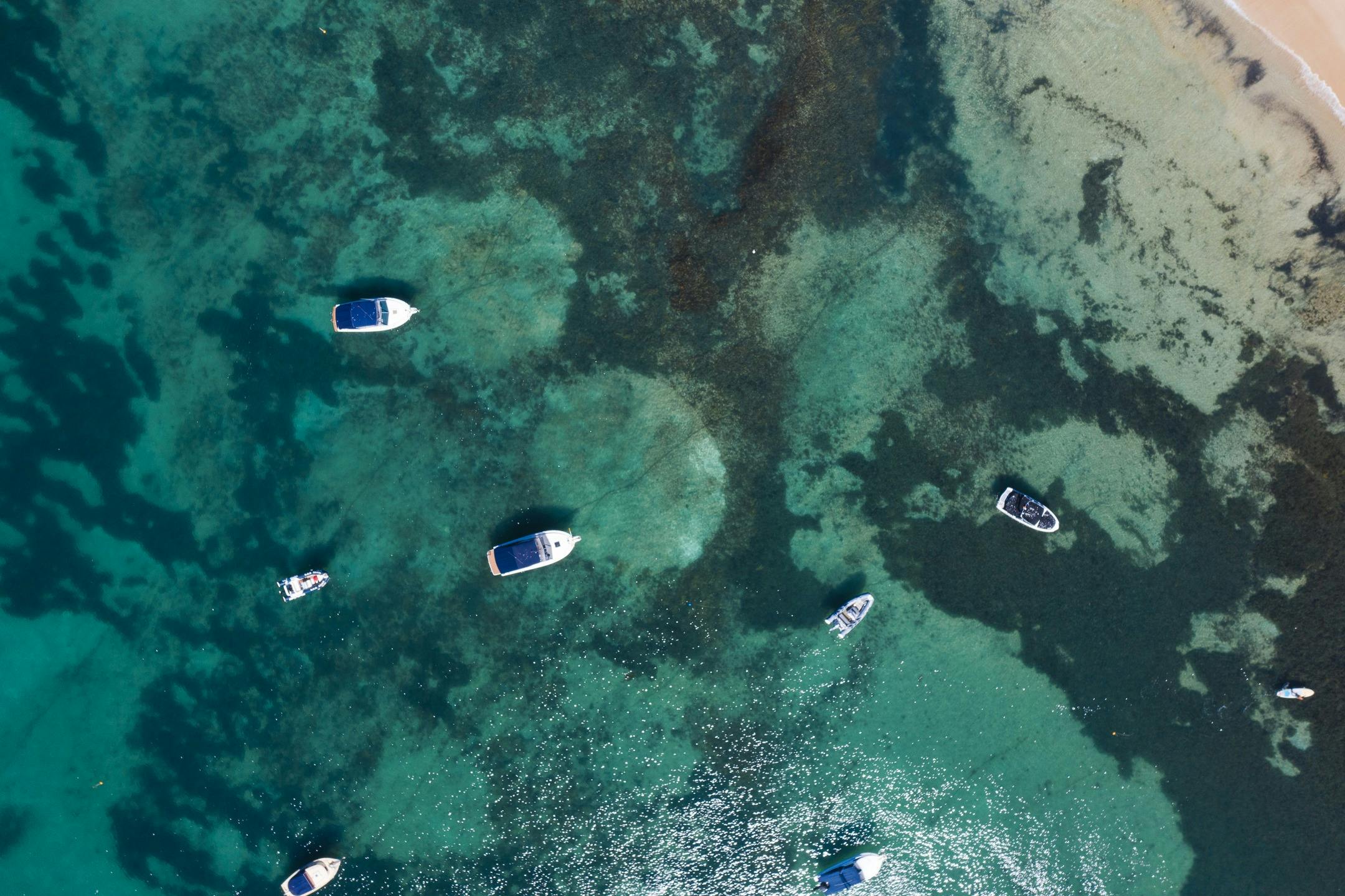 Portsea Beach Aerial