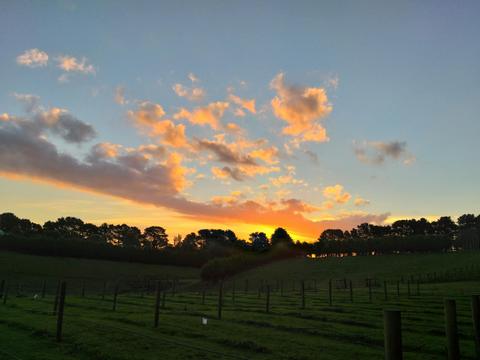 Promontory Restaurant and Winery