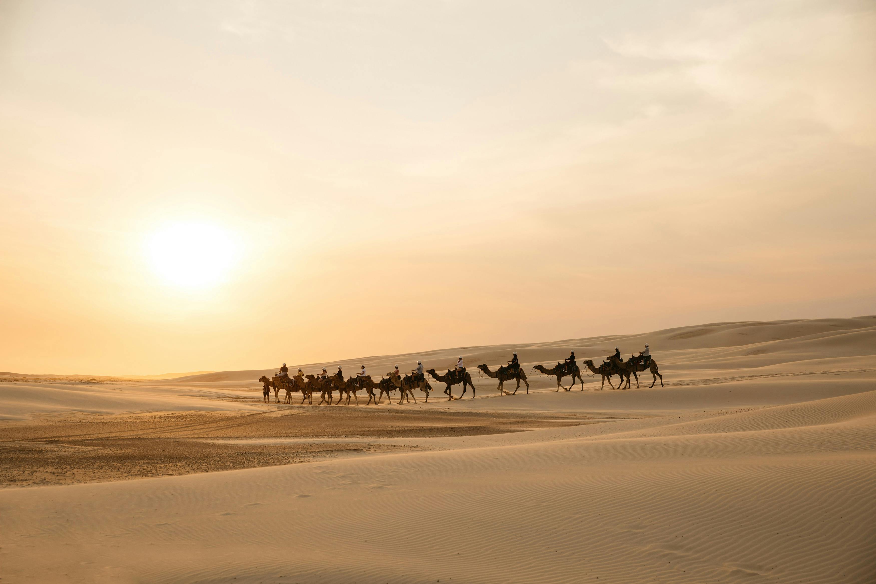 Camel Riding on Stockton Beach