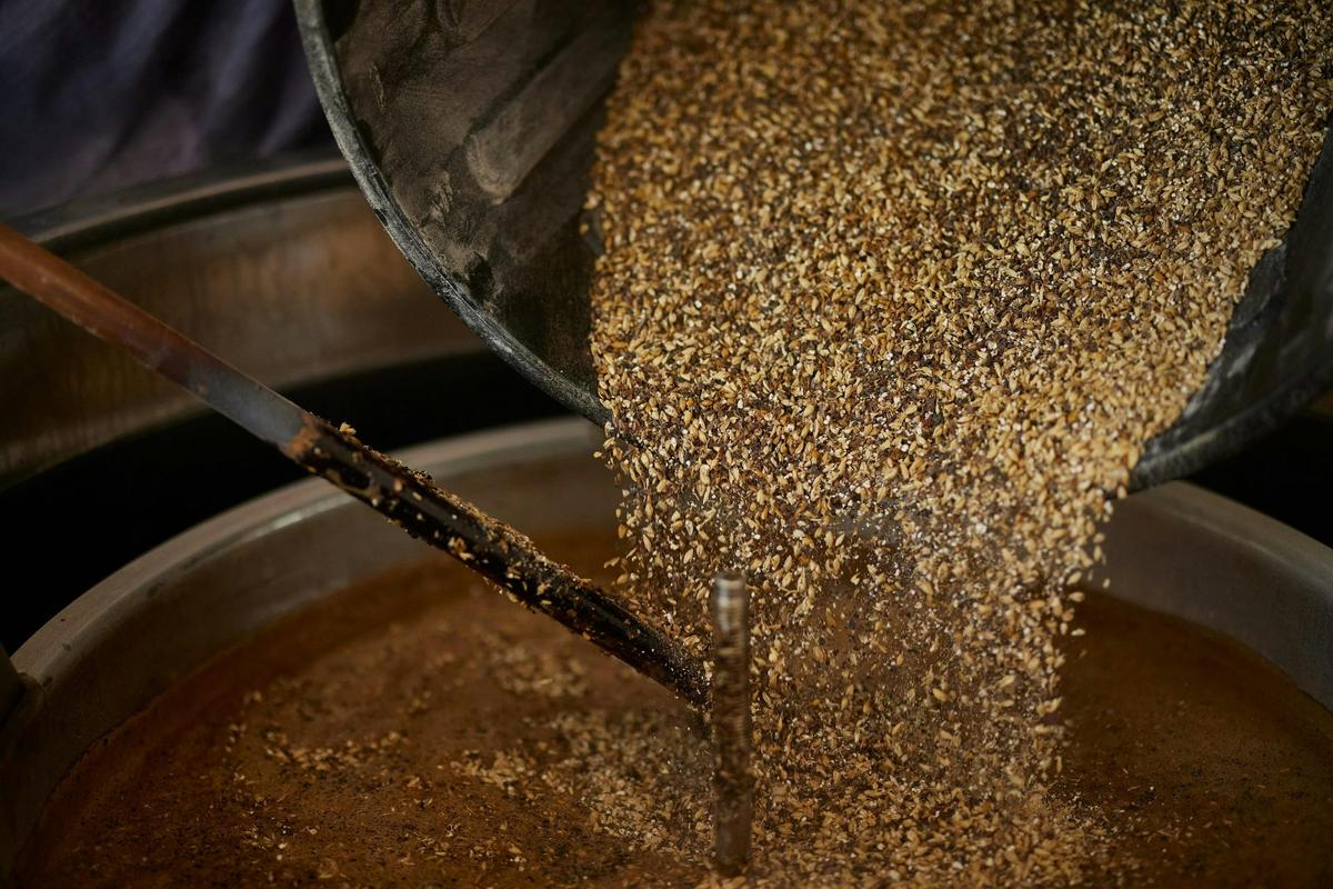 Beer brewing in action