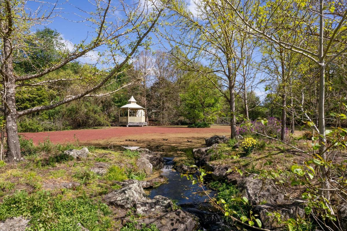 Penshurst Botanic Gardens