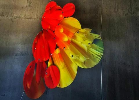 Rainbow Silo Art