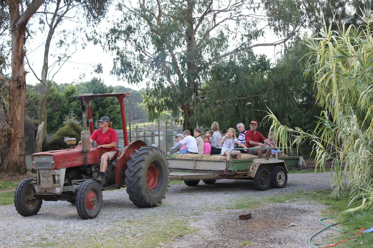 Free family hayrides