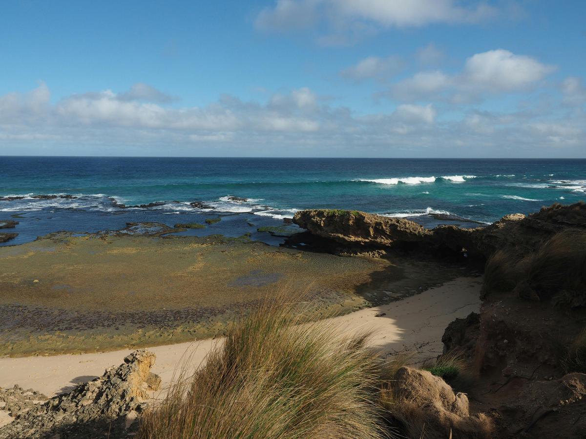 Pearses Beach
