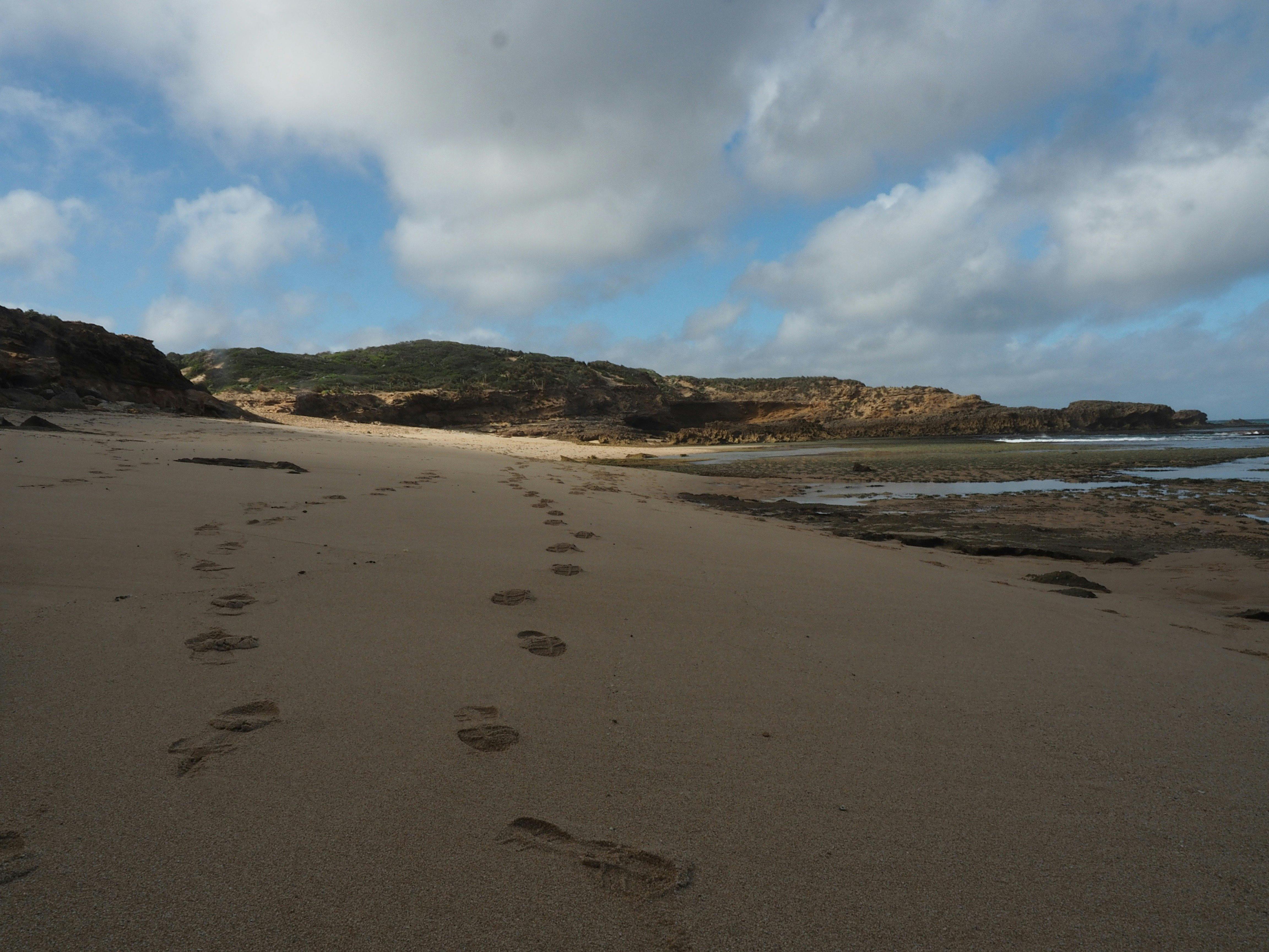Pearses Beach, Blairgowrie
