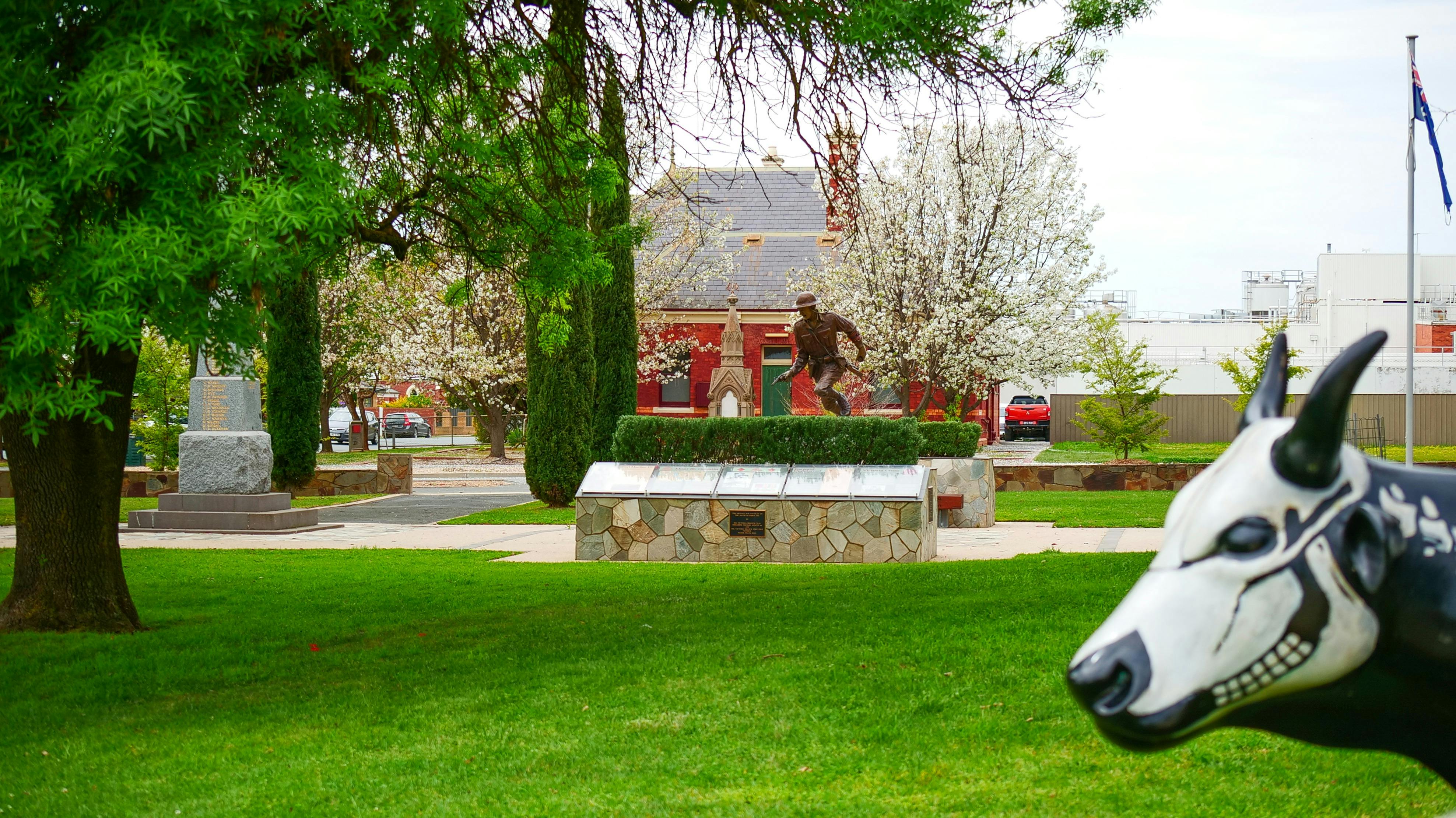 Mactier Gardens and Tatura Court House - Blossoms  and Moooving Art Cow