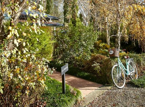 Pizzini's Vineyard Guesthouse