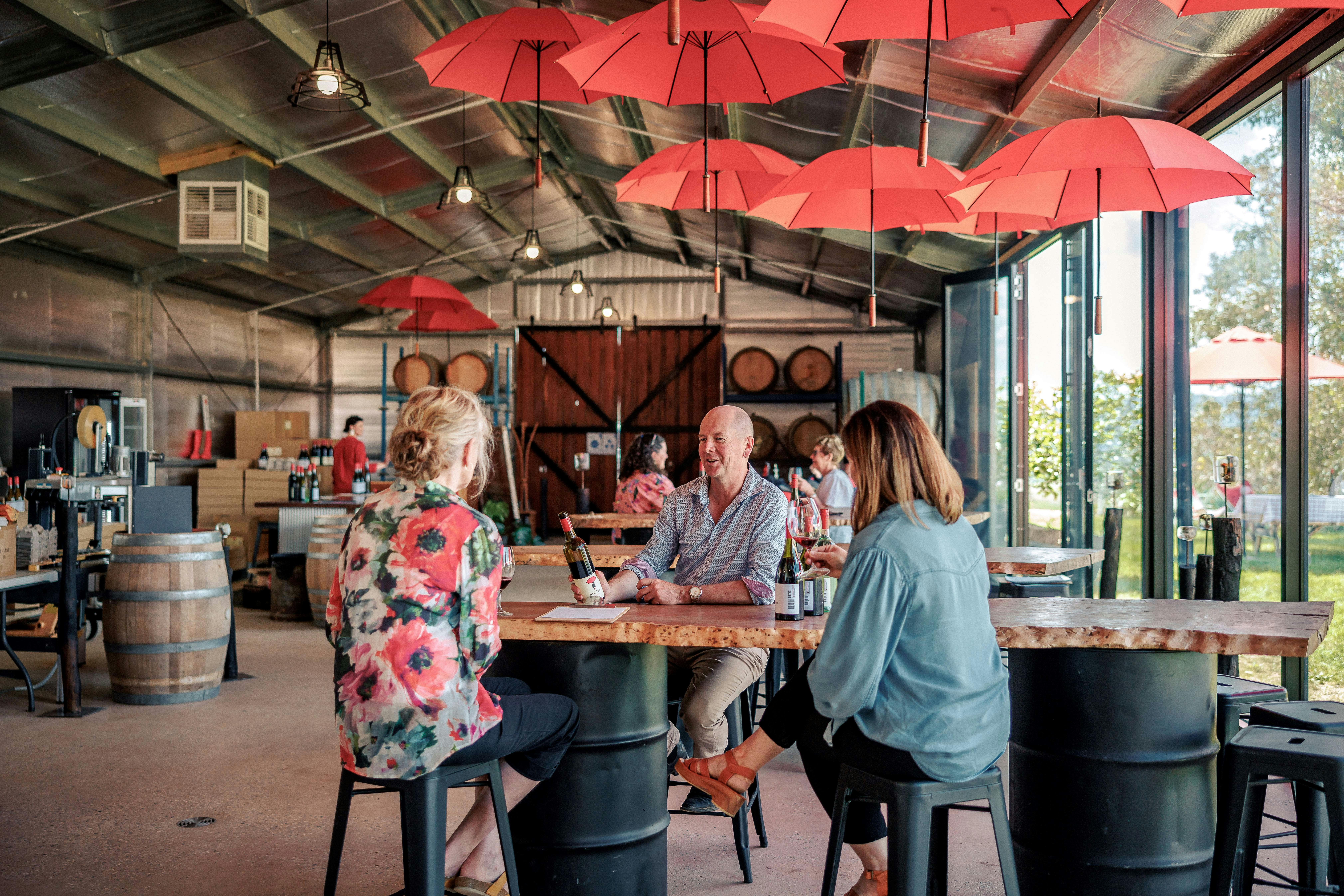 Seated tasting at Red Feet Wines