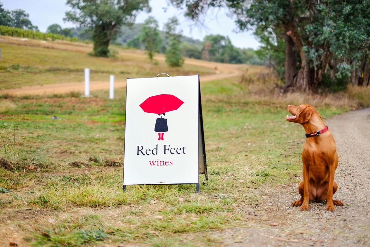 Red Feet Wines entrance