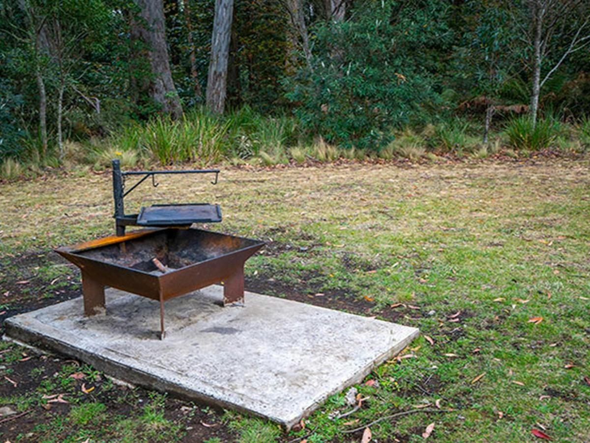 A wood barbecue in Honeysuckle picnic area, Barrington Tops National Park. Photo: John Spencer/DPIE