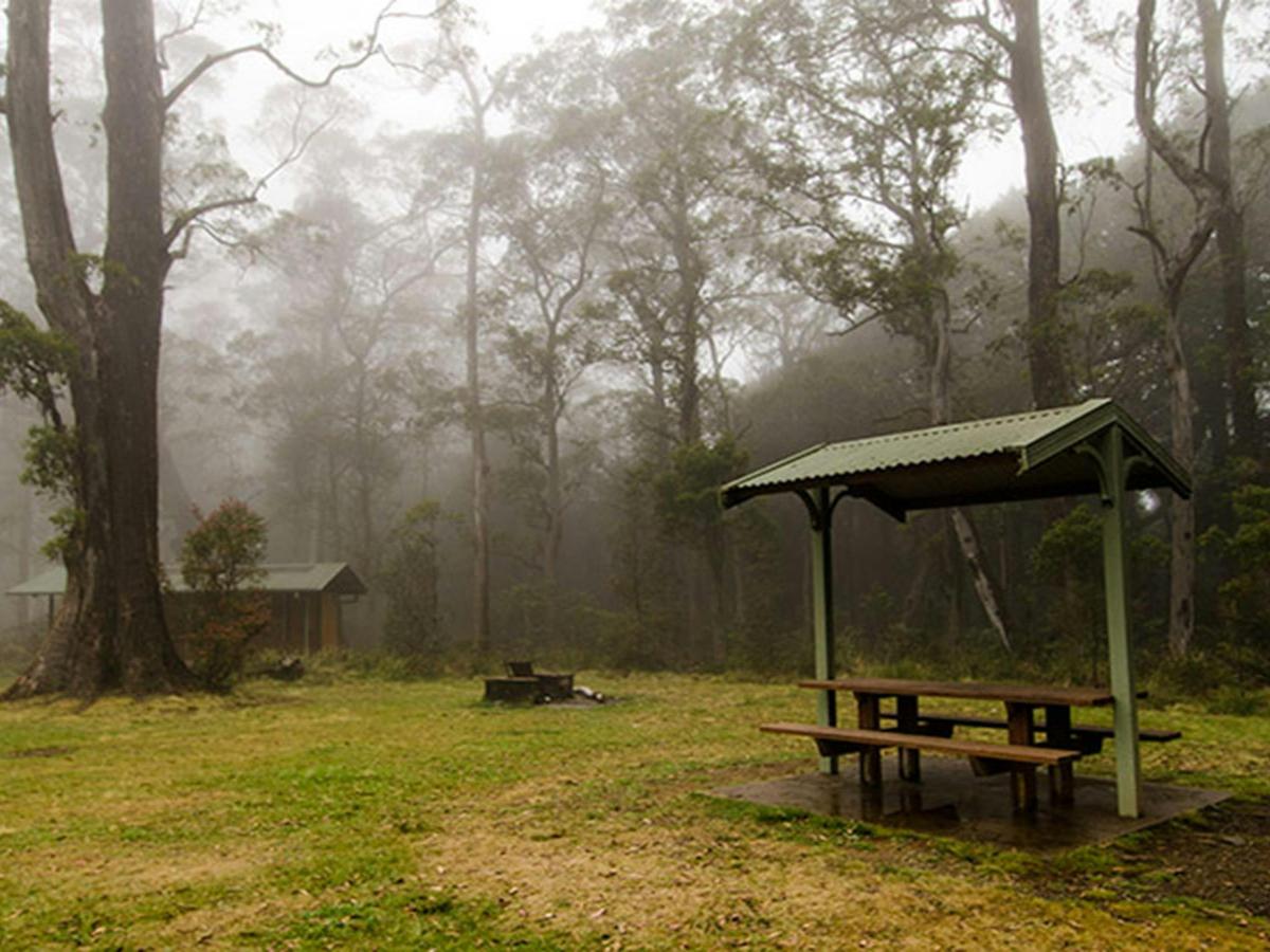 Picnic tables surrounded by trees under the cover of mist in Honeysuckle picnic area, Barrington