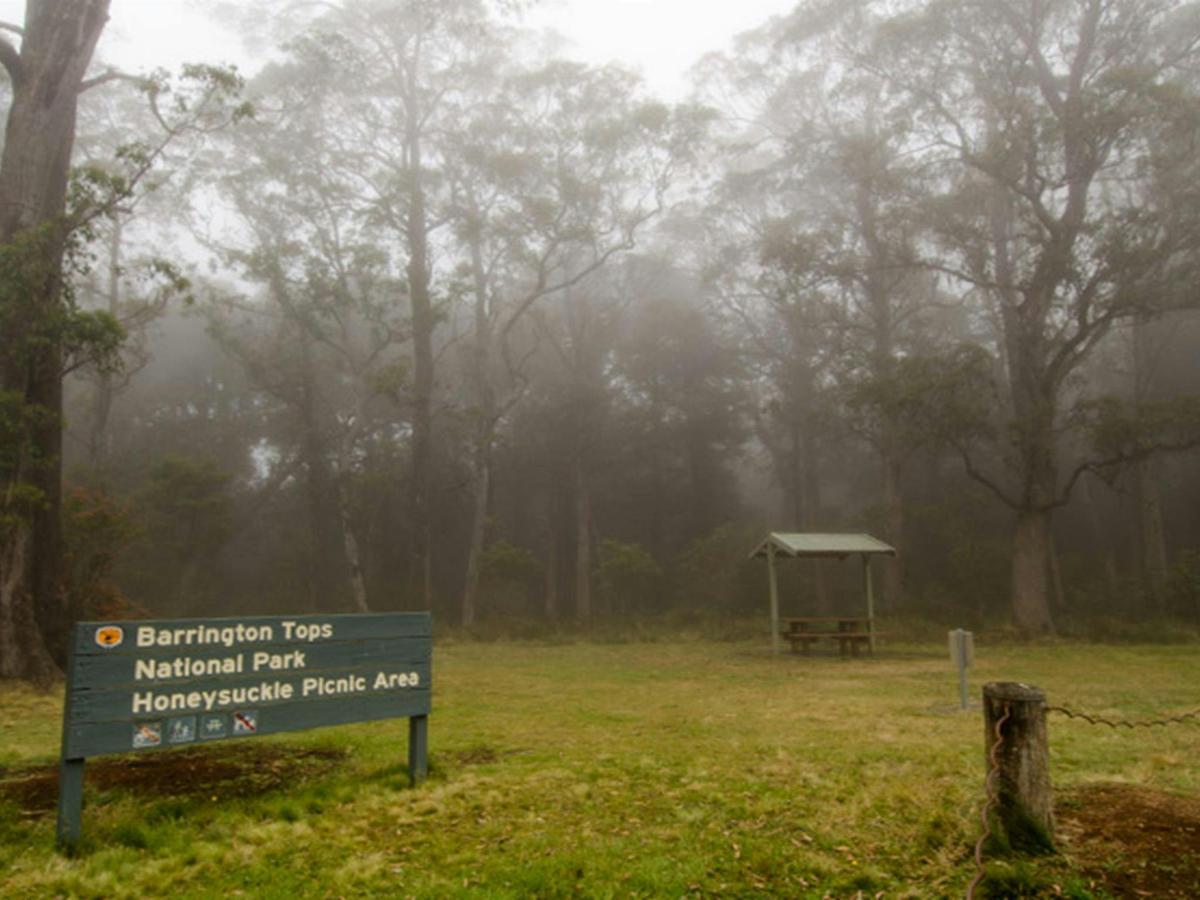 Signage and picnic tables surrounded by mist in Honeysuckle picnic area, Barrington Tops National