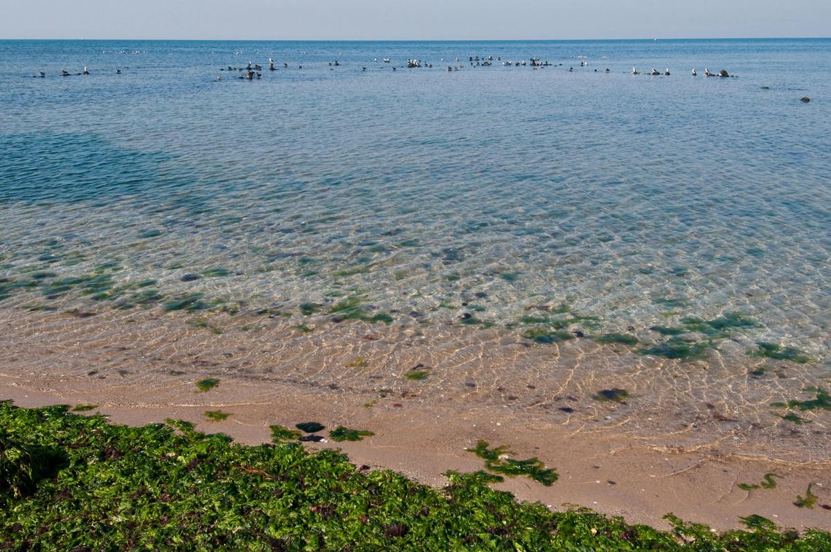 Point Cooke Marine Sanctuary