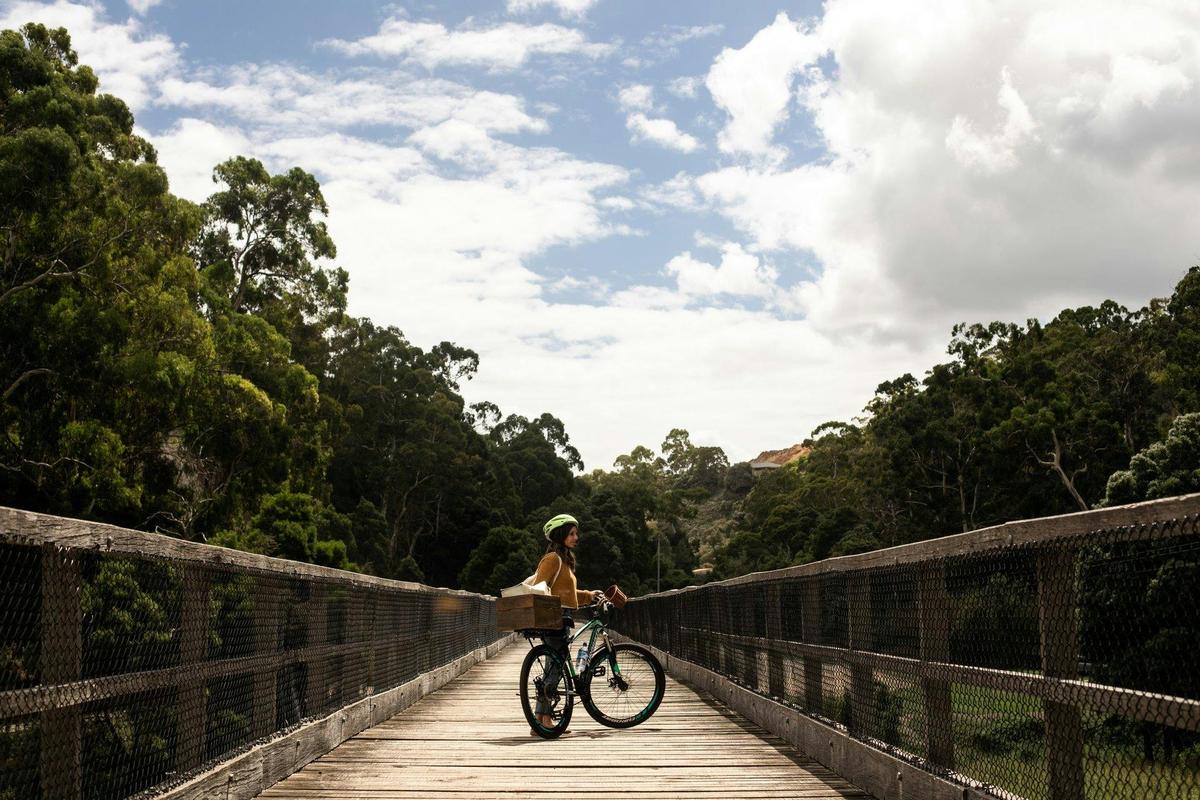 Timboon Trestle Bridge