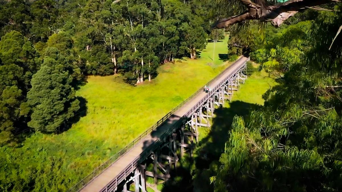 Timboon Trestle Bridge at Curdie's River