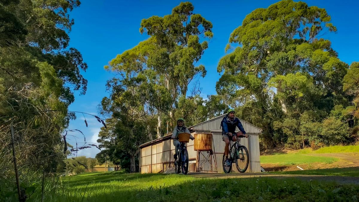 Two people riding bicycles along the Camperdown to Timboon Rail Trail