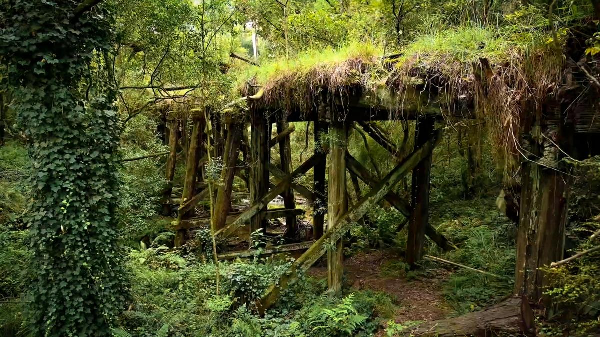 Historic Bridge on Camperdown to Timboon Rail Trail