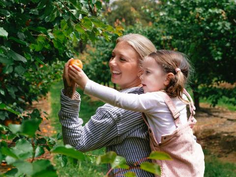 Rayner's Orchard