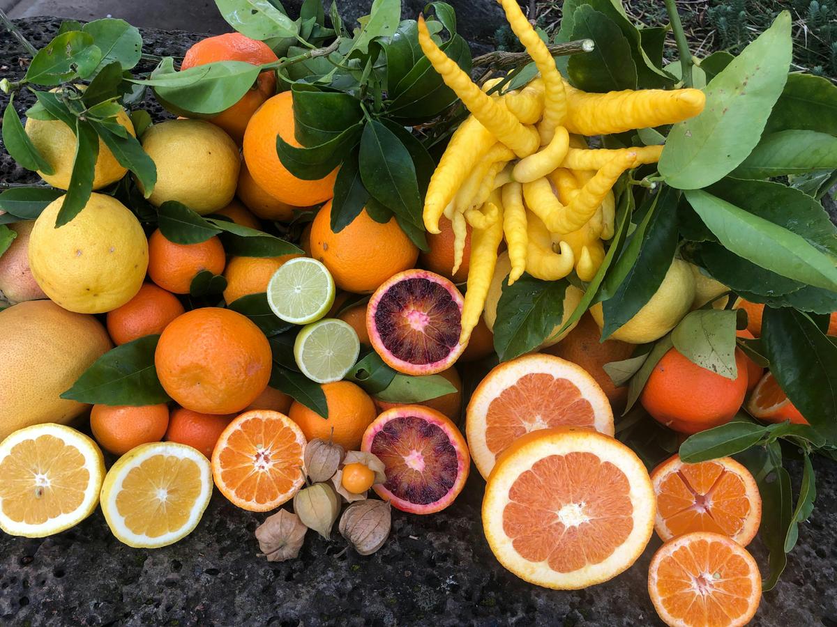 spring fruit