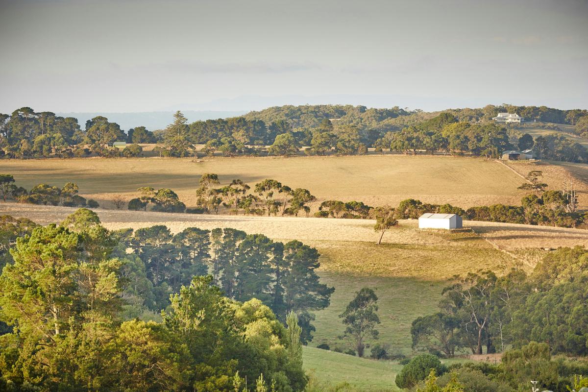 Red Hill and Main Ridge