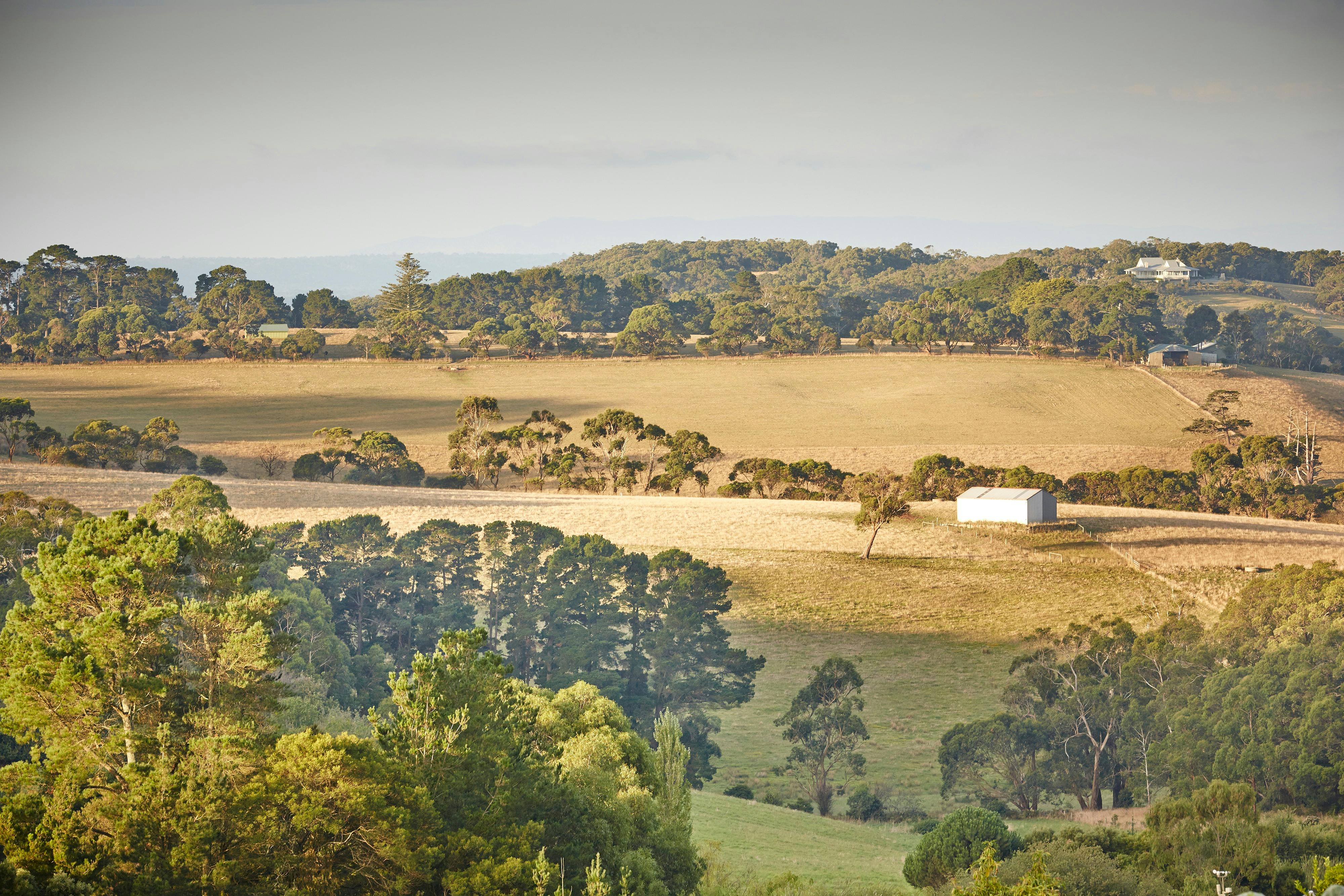 Red Hill and Main Ridge