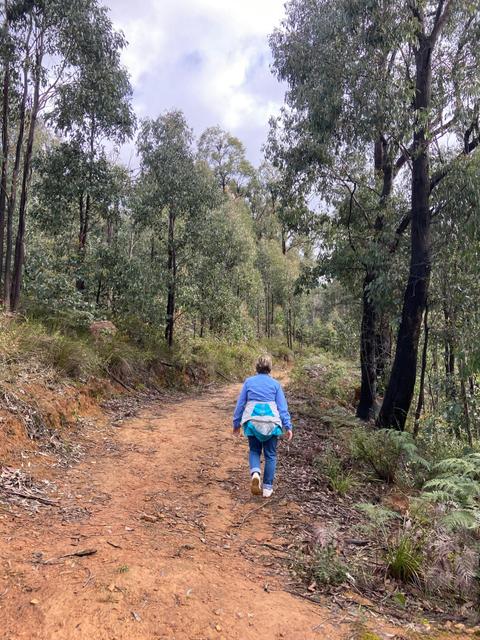 Red Hill Trail