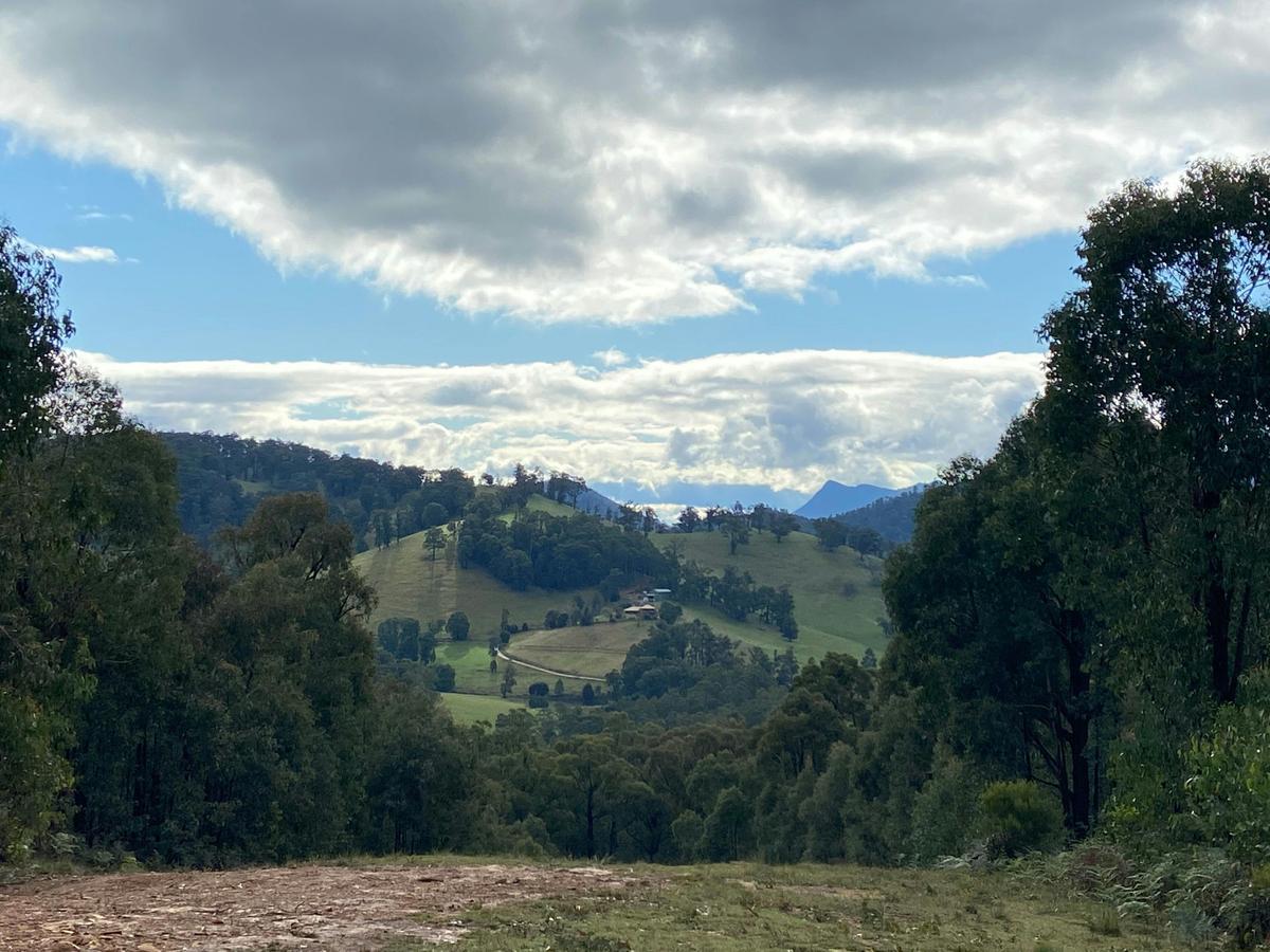 Red Hill Trail