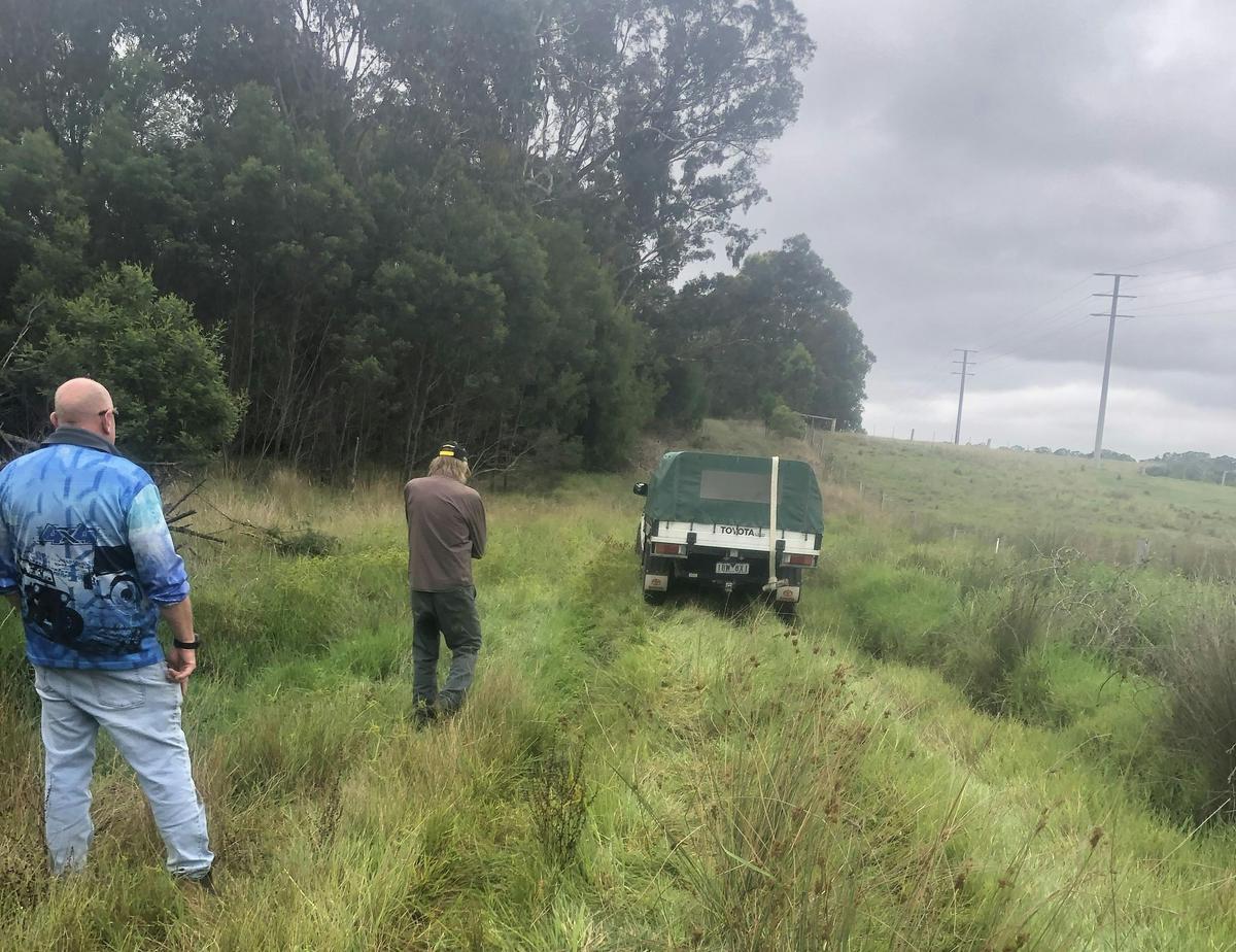 Bairnsdale - road side