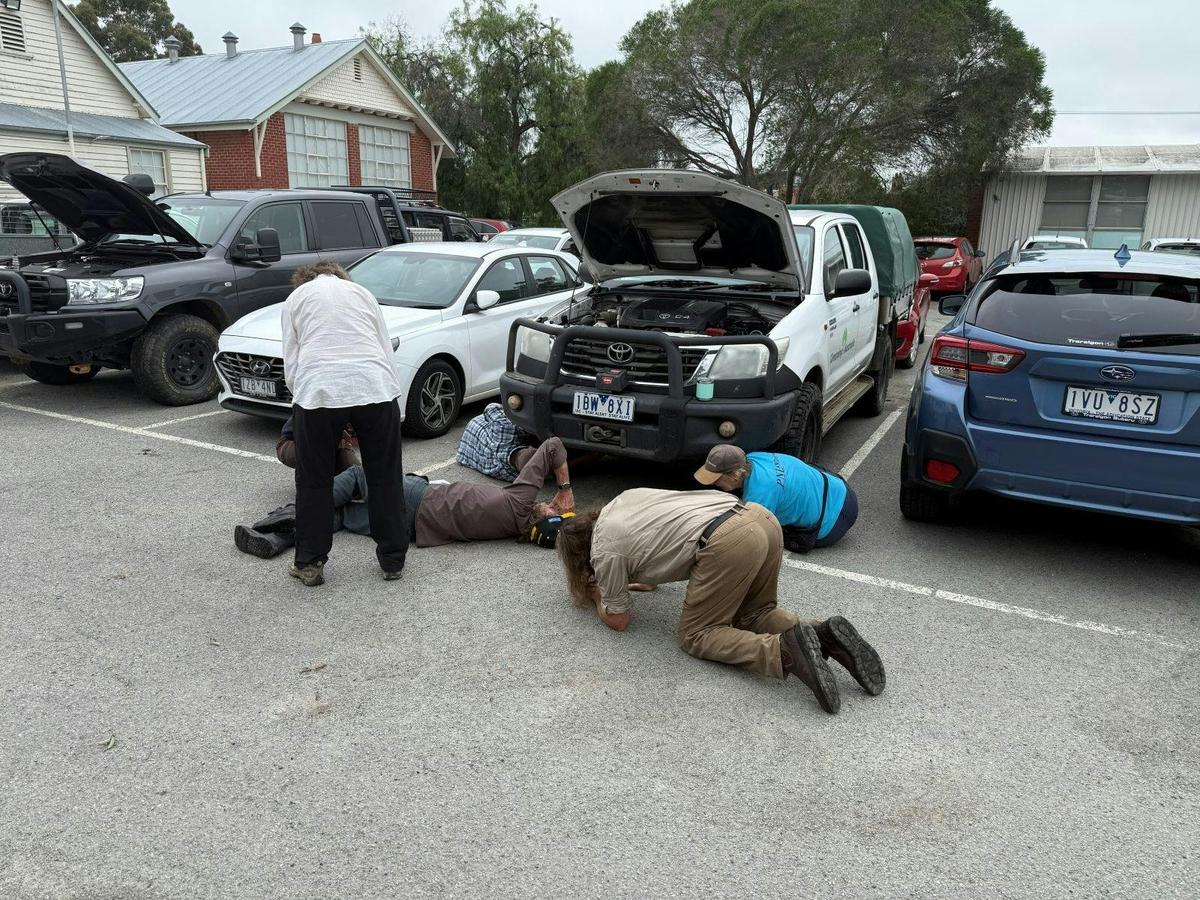 Bairnsdale - vehicle inspection