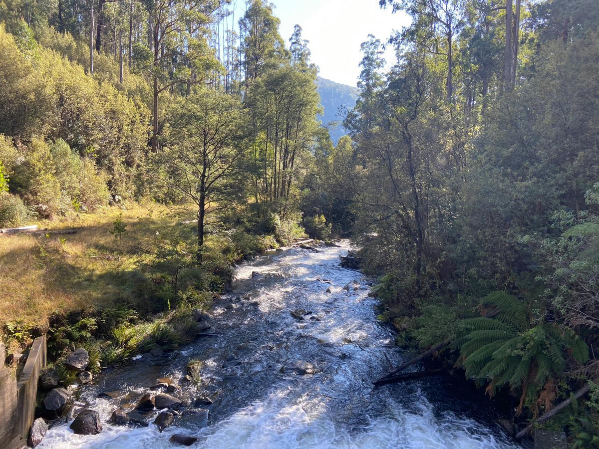 Rubicon Falls Walk