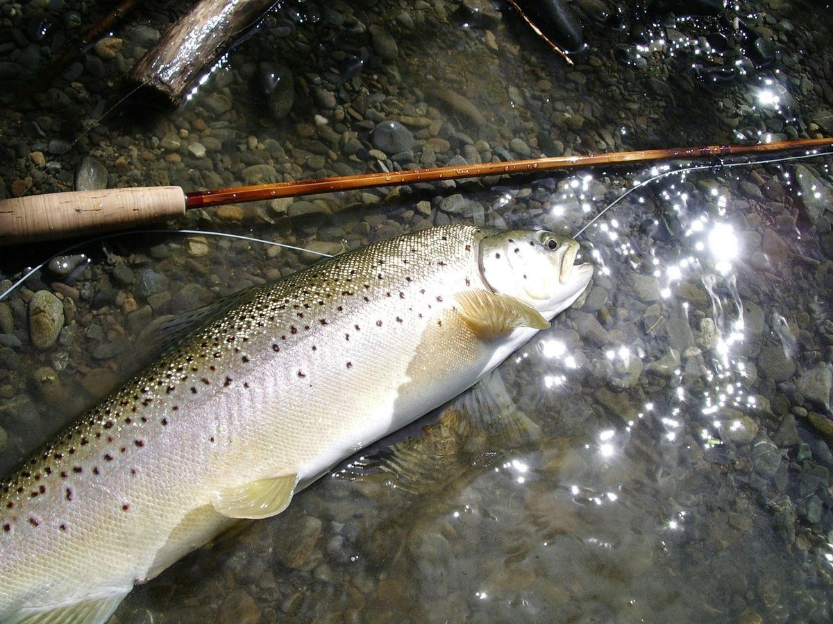 Riverview Lodge