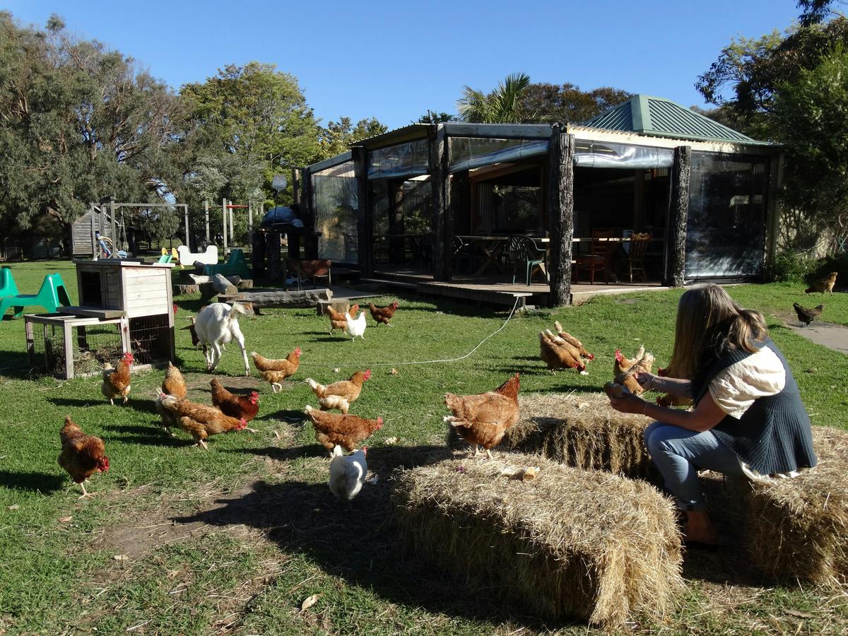 relax with the farm animals in the sun or enjoy our fabulous outdoor kitchen and dining area