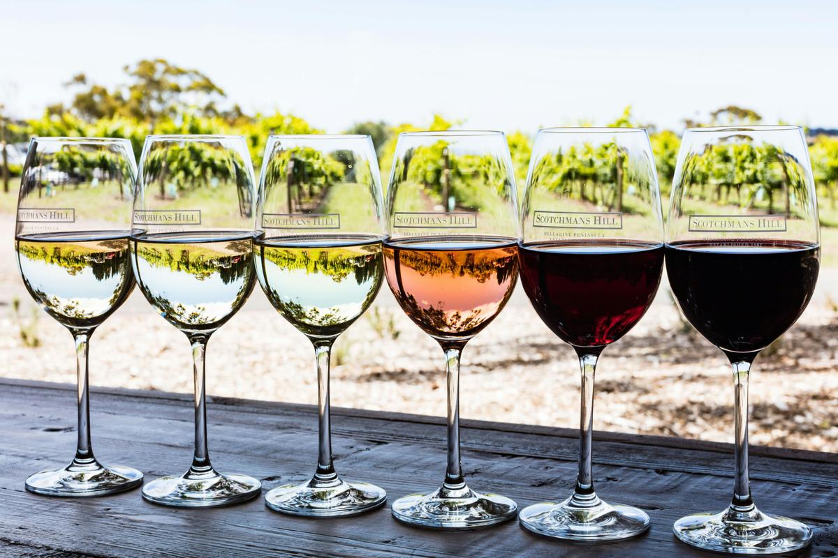 Scotchmans Hill Wines