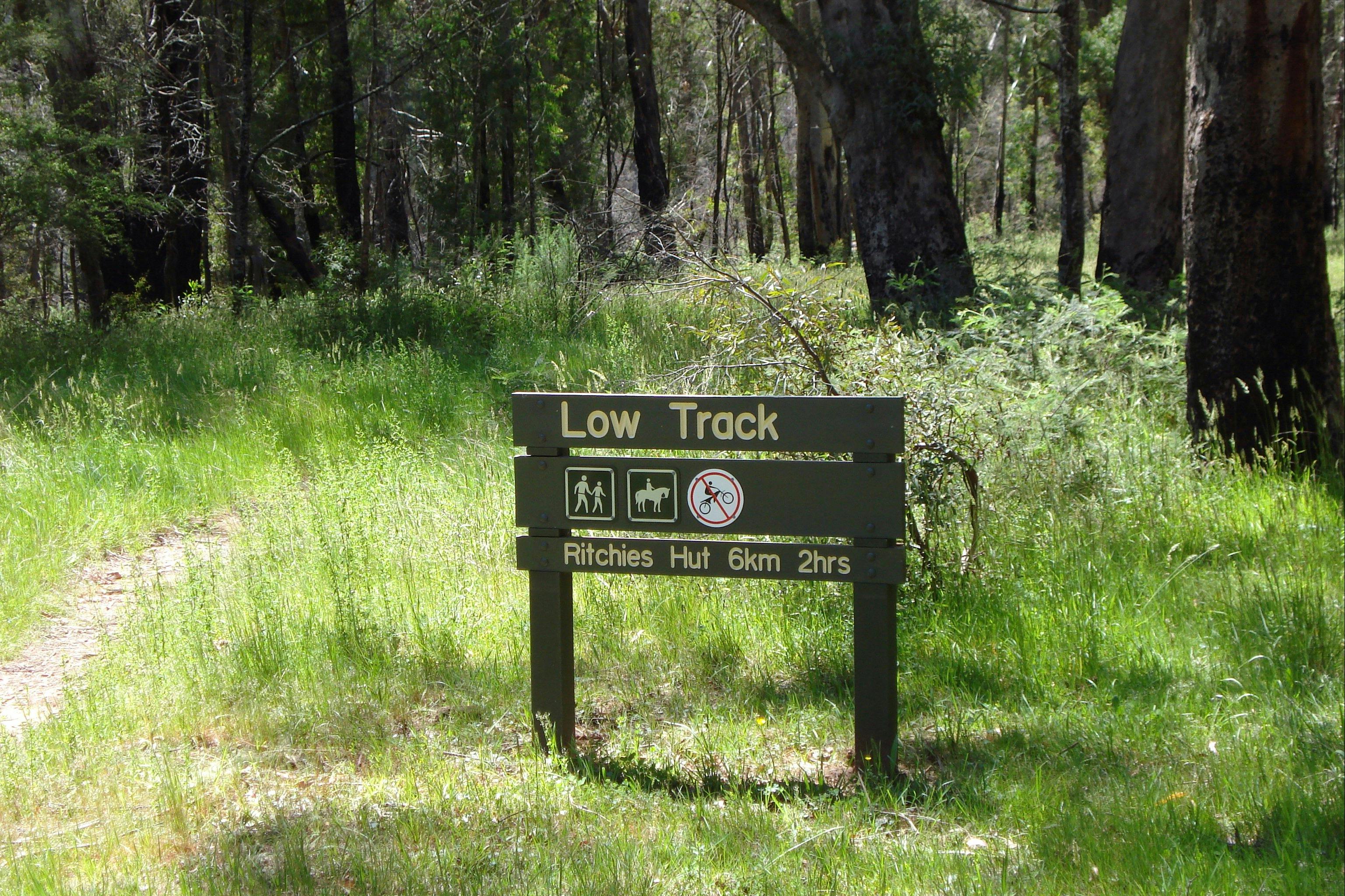 Ritchie's Hut hiking track