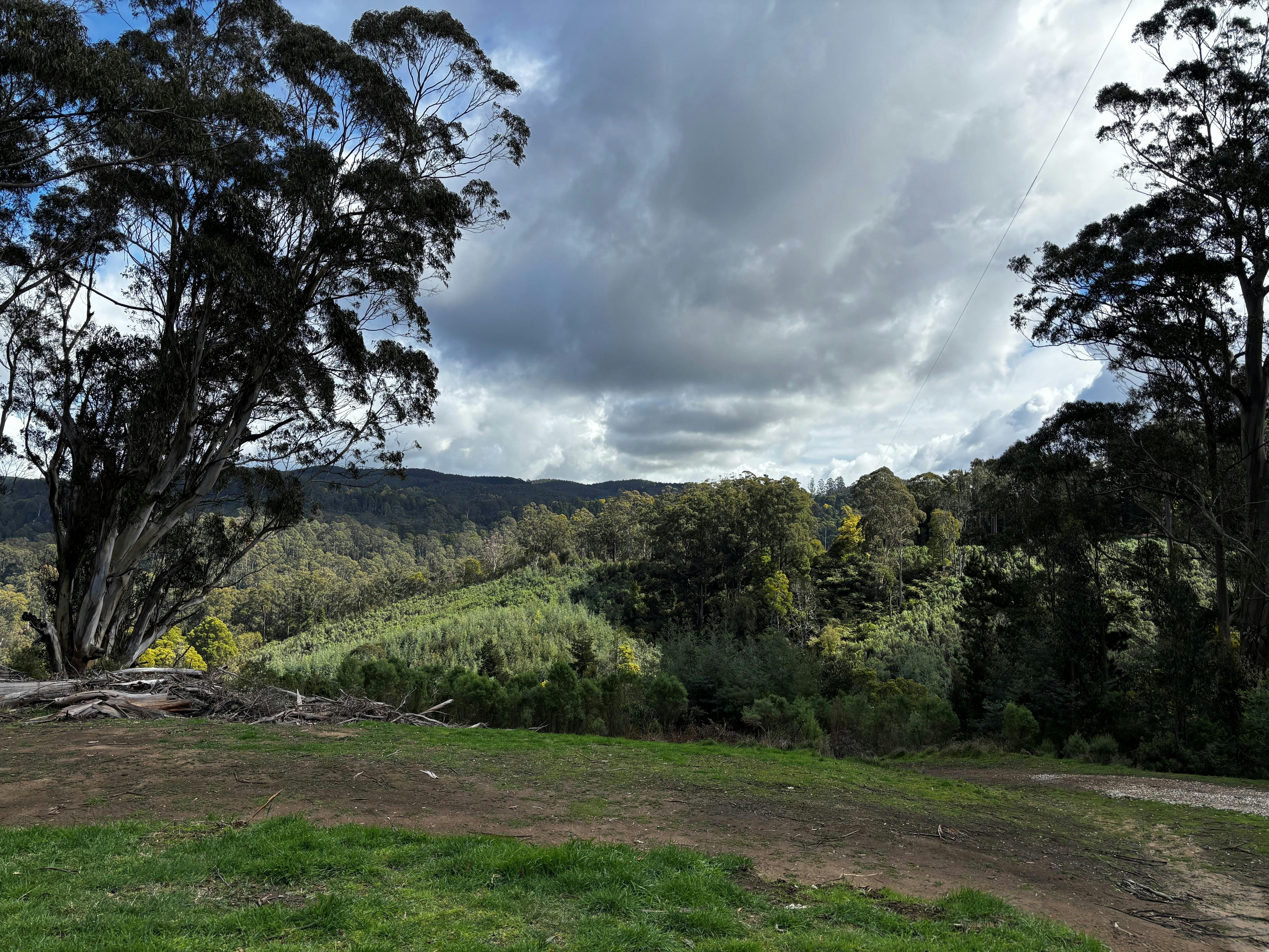 one of the magic views from the cabin