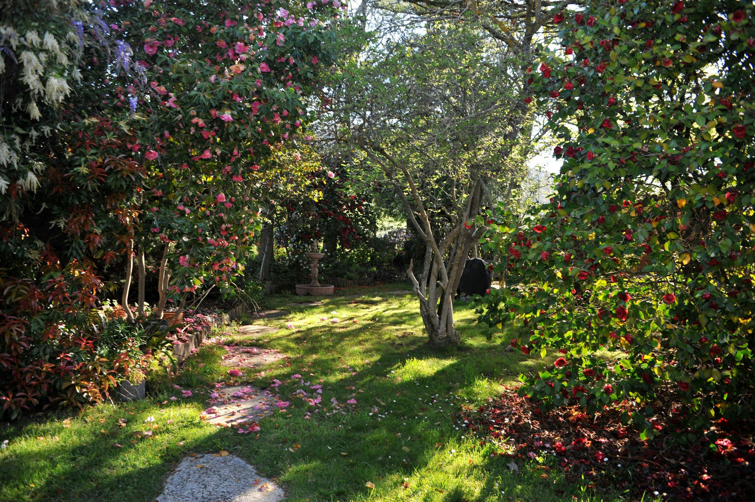 Rosetta's Garden & statue