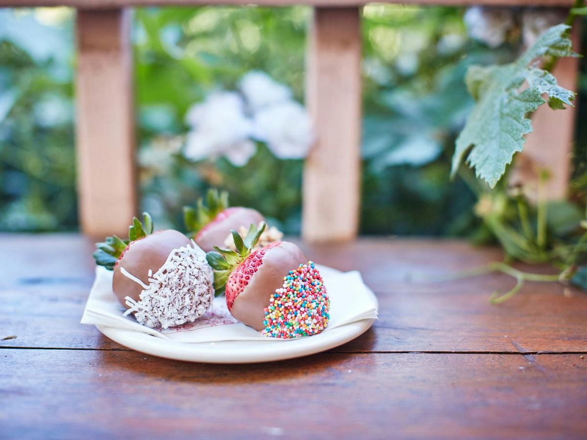 Chocolate Dipped Strawberries