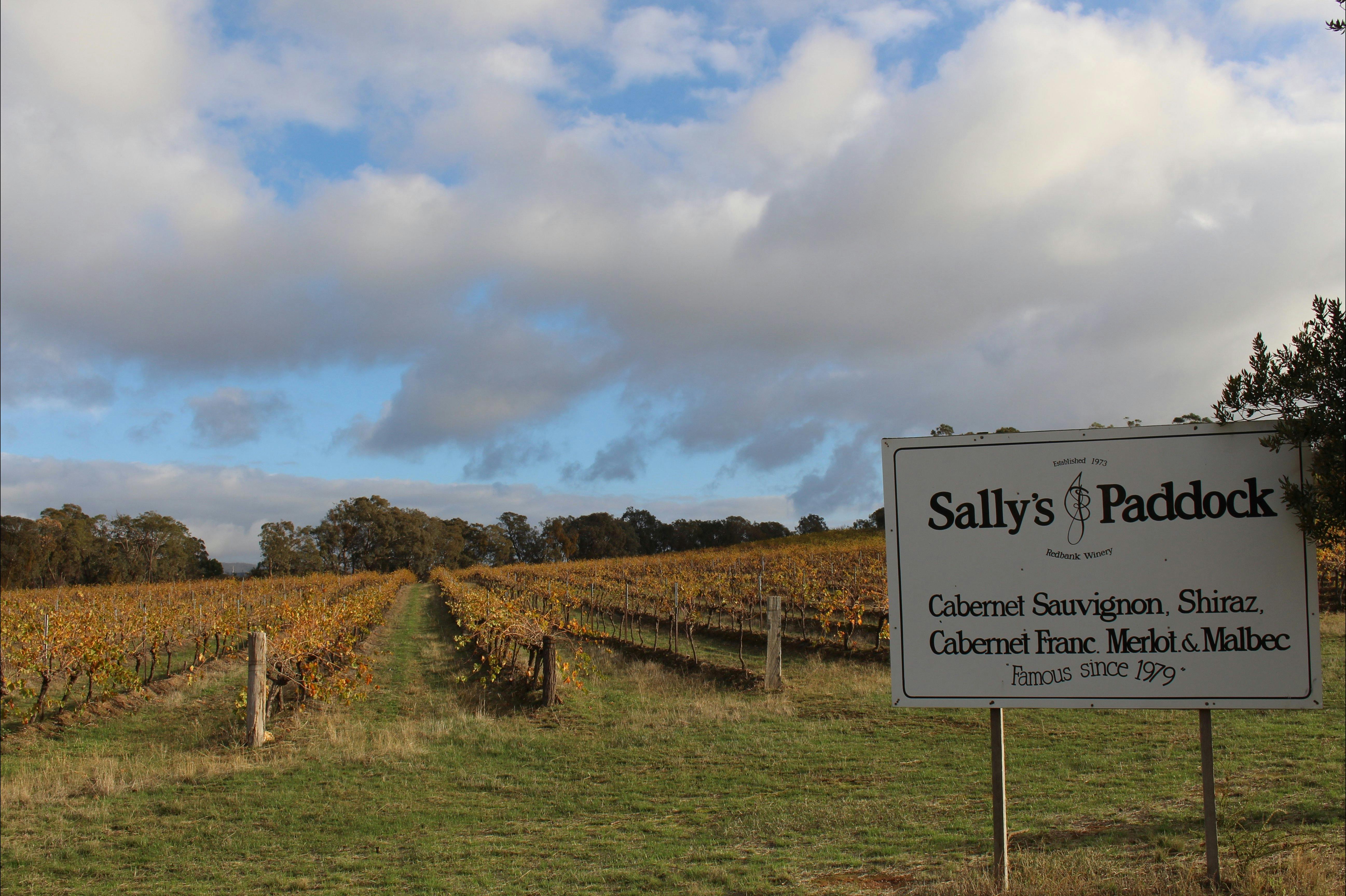 The Sally's Paddock vineyard