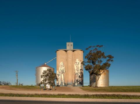 Rosebery Silo Art