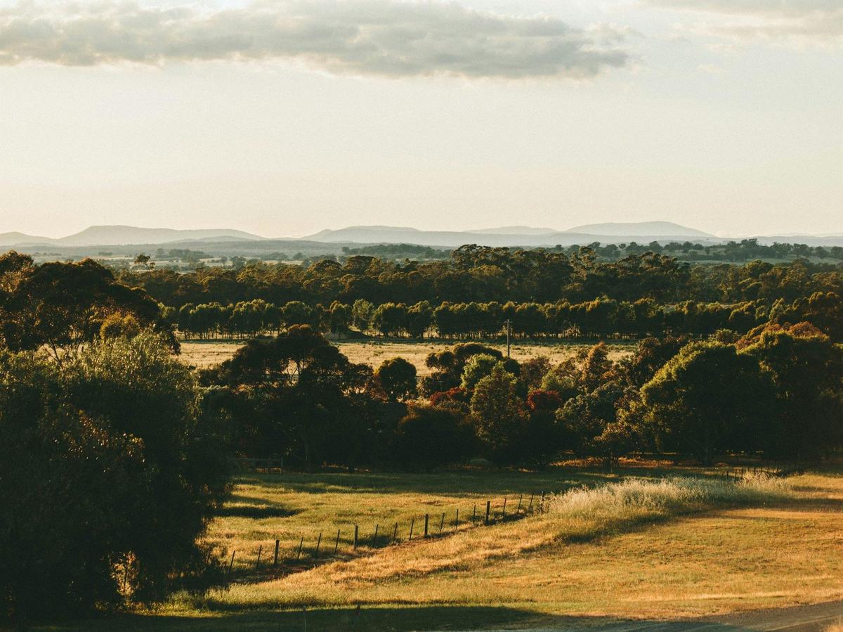 View from the wine bottle