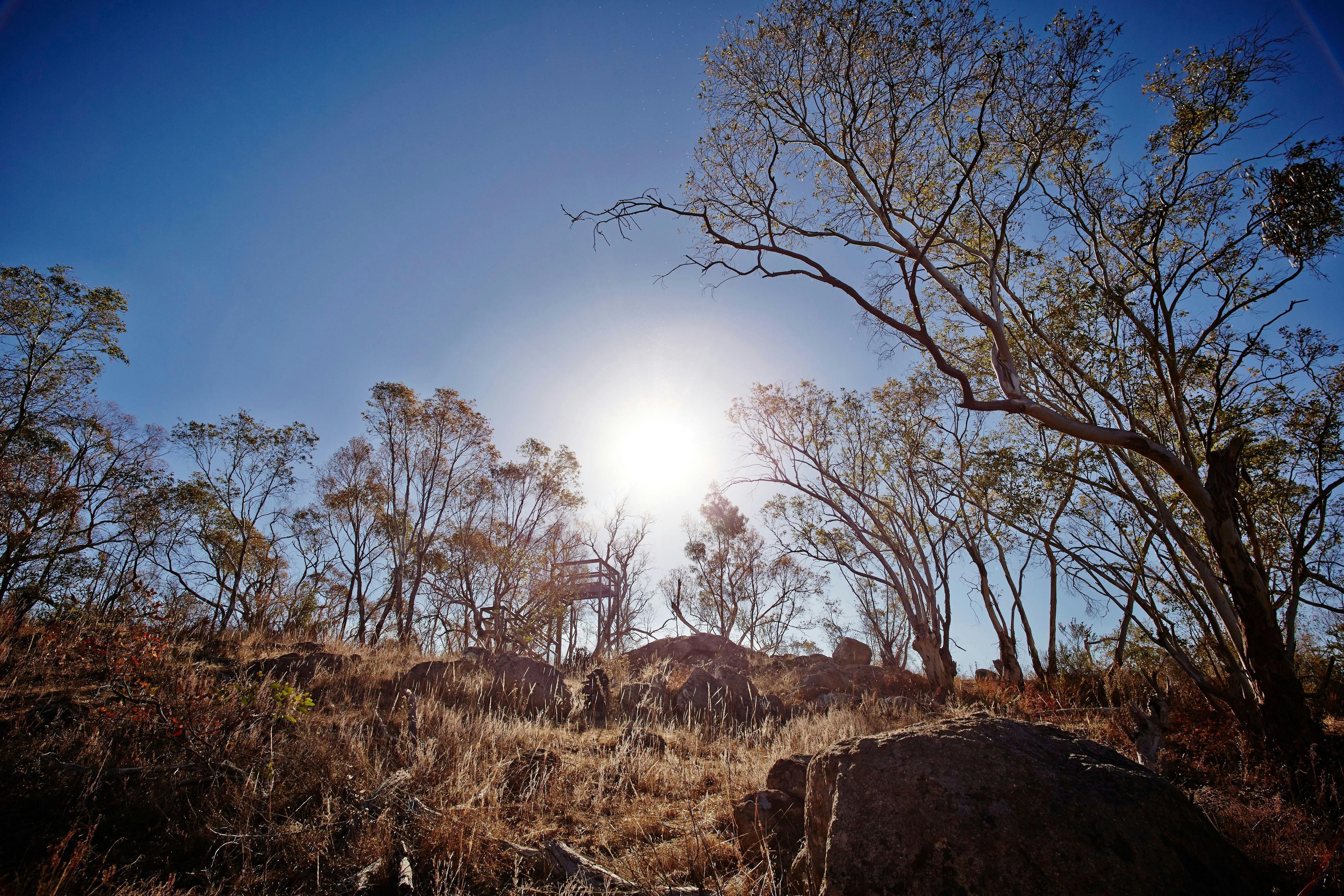 View to lookout tower