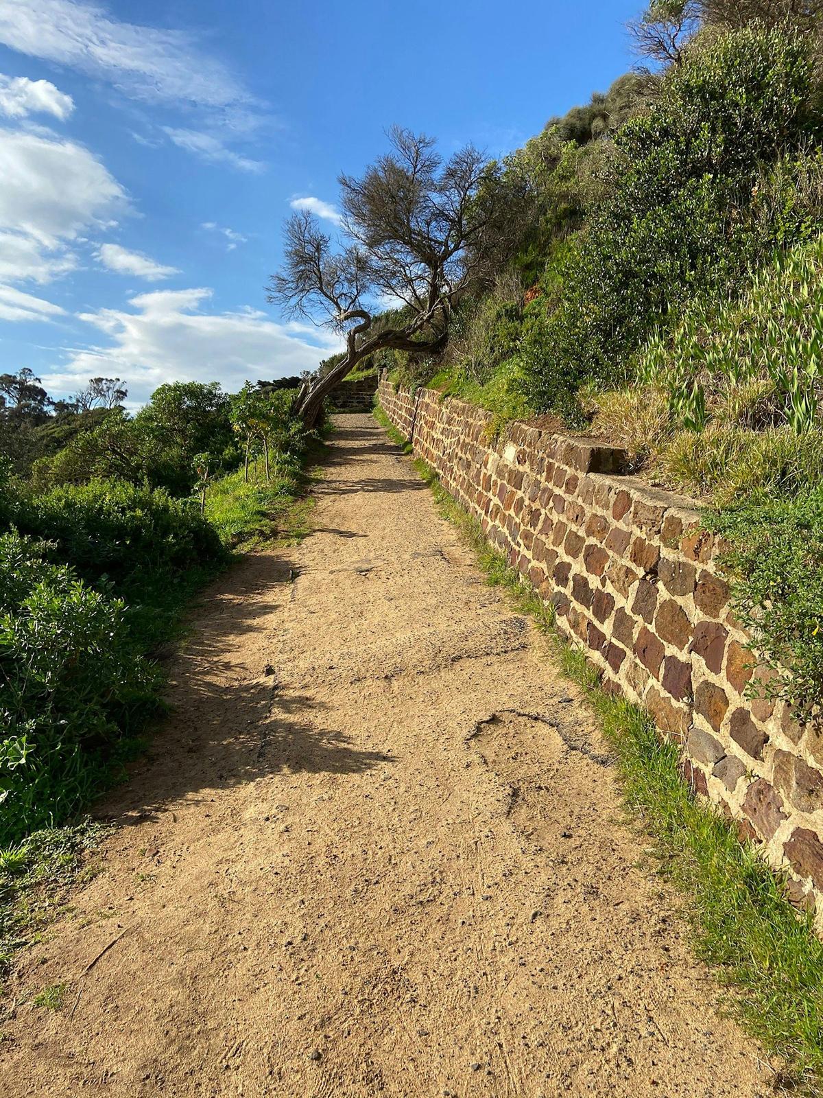 Royal Beach, Mornington